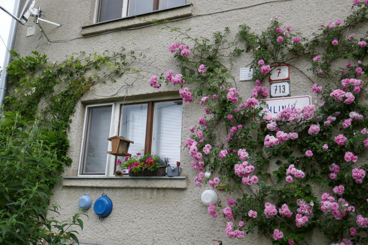 Apartment At Sedliacky Dvor - Brezno Extérieur photo
